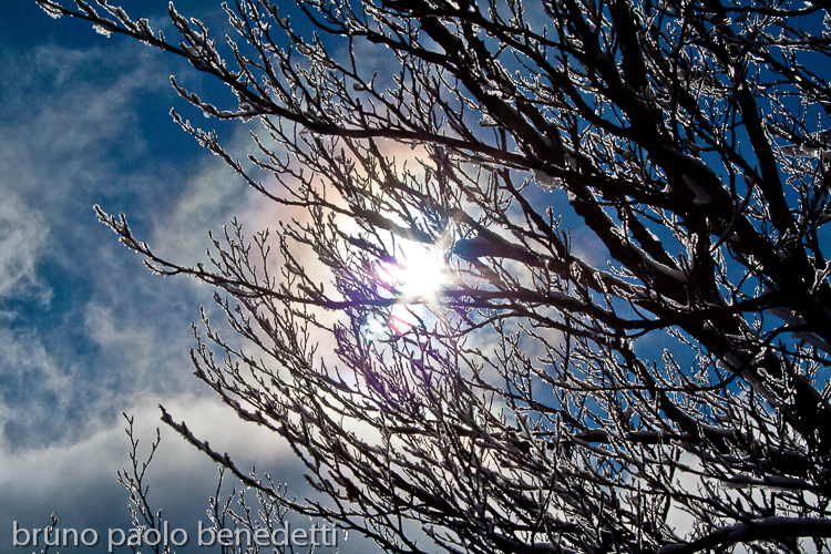 rainbow colors of the sun reflected on ice crystals on tree branch