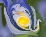 blue and yellow colors of the nature in a swan like fluid shape