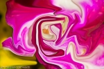 pink and red colors with shades of the nature in fluid shape