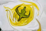 abstract picture with green color, yellow and fluid shape