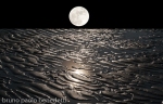 moonlight reflections on earth with water