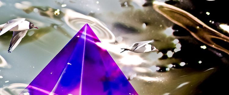 incoming light with pyramid and seagulls on dark background