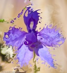 surrealistic indigo flower petals disgregating into pieces