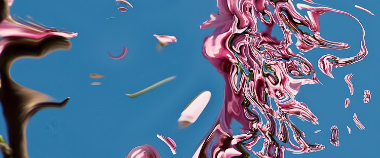 flying abstract pink petals on blue sky background