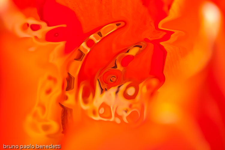 yellow shapes on orange background