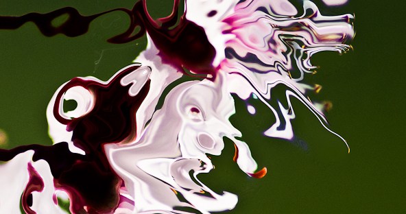 fluid shape in white color and red shades on dark green background