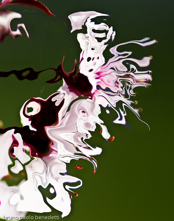 fluid shape in white color and red shades on dark green background