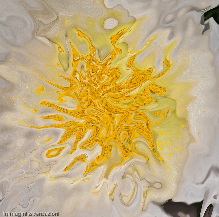 floating yellow shape on dark white background