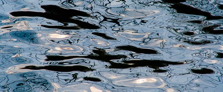 black spots and bended lines on light blue water