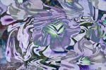 violet abstract flower with green shades on fluid background