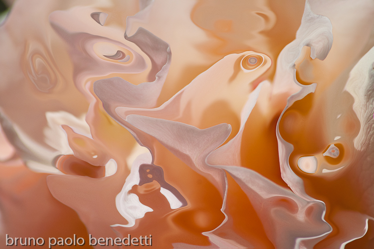 abstract floating orange veils