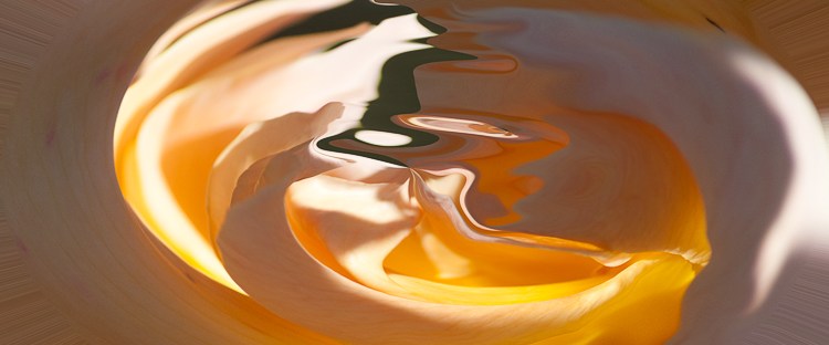 orange and white light and shade