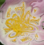 yellow vortex on pink and white shades