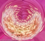 swirling yellow shapes on white and pink background