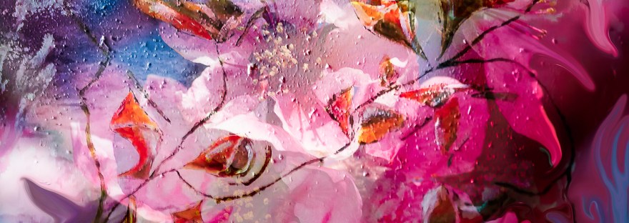 floral composition abstraction multicolored image with flowers and blossoms like shapes with shades