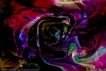 rainbow colored fluid shapes abstract image with swirling shapes on black background