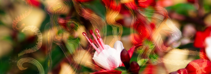 spiritual beyond visible: abstract art composition with flowers on foreground and human figure